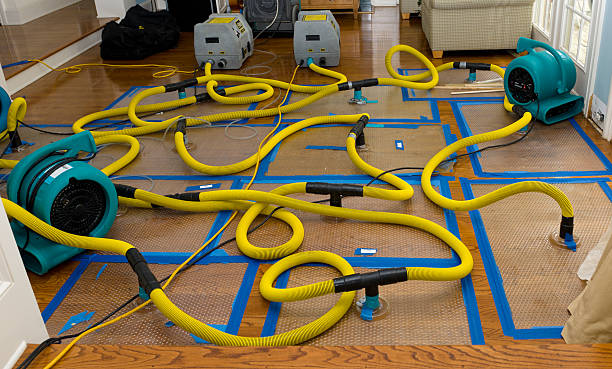 Professional Water Damage Repair technician working in Hyde Park, MA